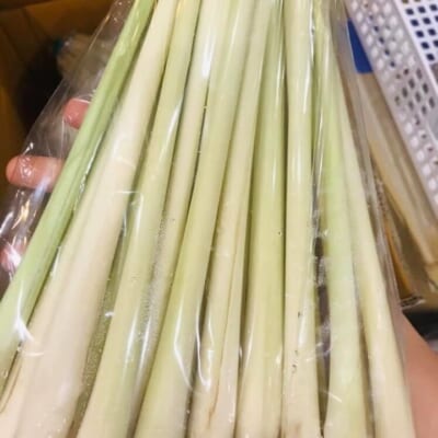 Củ Xả