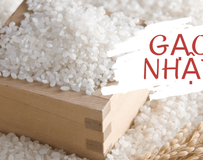 Nhật Gạo